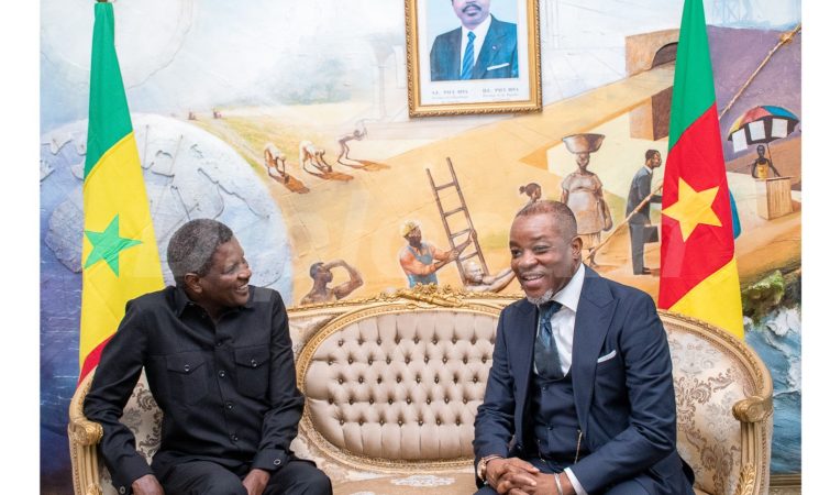 (Français) COOPÉRATION CAMEROUN – SÉNÉGAL : S.E. MALICK DIOUF AU MINREX